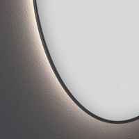 Зеркало Wellsee 7 Rays' Spectrum 172200100 с фоновой LED-подсветкой (D = 50 см) — 2