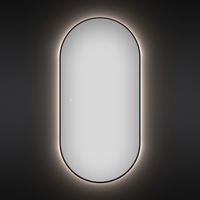 Зеркало Wellsee 7 Rays' Spectrum 172201540 с фоновой LED-подсветкой (55×100 см) — 1