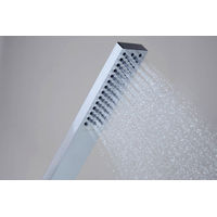 Душевая лейка Hansgrohe Pulsify E Baton EcoSmart 24320000 хром — 2