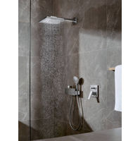 Душевая лейка Hansgrohe Raindance Select S 120 3jet 26530000 хром — 2