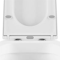 Подвесной унитаз Lavinia Boho Biore Compacto Rimless 330402CR крышка Soft-close — 5