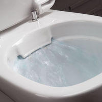 Подвесной унитаз Roca The Gap Clean Rim 34647L000+80147200B с пневмокрышкой — 11