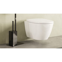 Подвесной унитаз Roca Ona Rimless 346687000+ZRU9310293 с пневмокрышкой дюропласт — 8