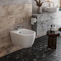 Биде Roxen Antares 400185-00 — 3