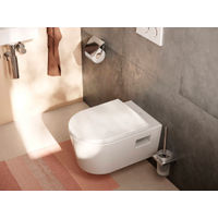 Ершик для унитаза Hansgrohe AddStoris 41752000 хром — 2