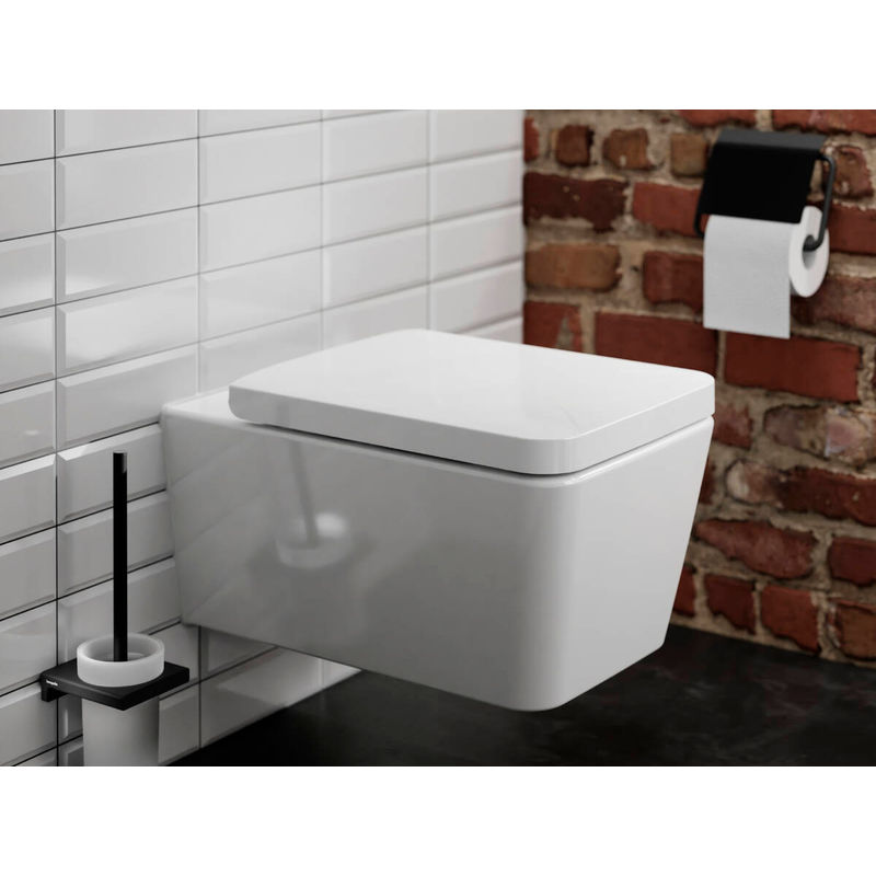 Ершик для унитаза Hansgrohe AddStoris матовый черный 41752670