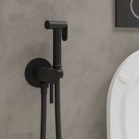 Встраиваемый гигиенический душ Roxen Santi 500940-B черный — 5