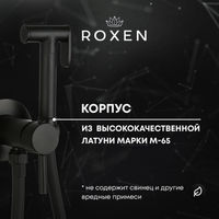 Встраиваемый гигиенический душ Roxen Santi 50094000-B черный — 2