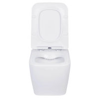 Унитаз подвесной с инсталляцией Roxen StounFix Dual Fresh 506802 6 в 1 (состоит из: 710200, Santi 410260B, 530135-01) — 11