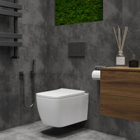 Подвесной унитаз Roxen Cube Tornado 530135-01 — 8