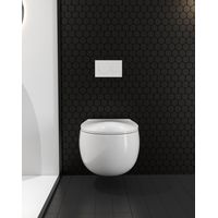 Подвесной унитаз Roxen EGG 530170-01 — 7