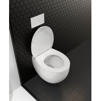 Подвесной унитаз Roxen EGG 530170-01 — 9