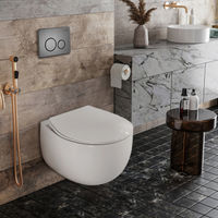 Подвесной унитаз Roxen EGG 530170-01 — 3