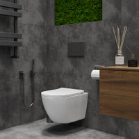 Подвесной унитаз Roxen Antares 530185-01 — 8