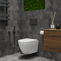 Подвесной унитаз Roxen Antares Tornado 530185-02 — 12