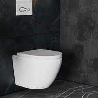 Подвесной унитаз Roxen Antares Tornado 530185-02 — 9