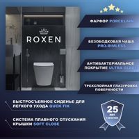 Подвесной унитаз Roxen Royal Matt 530200-01 — 10