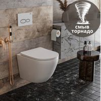 Подвесной унитаз Roxen Antares Tornado 530205-01 — 7