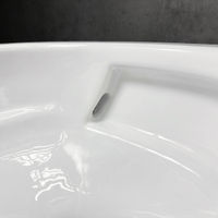 Подвесной унитаз Roxen Antares Tornado 530205-01 — 12