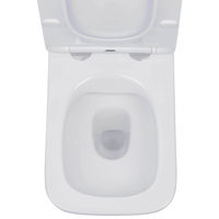 Унитаз подвесной с инсталляцией Roxen StounFix Dual Fresh 530473 6 в 1 (состоит из: 710200, Santi 410260M, 530135-01) — 13