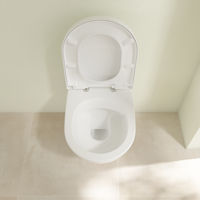 Подвесной унитаз Villeroy&Boch Subway 2.0 5614R001 37x56,5 безободковый — 6