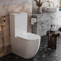 Напольный унитаз Roxen Antares 600185-01 — 7