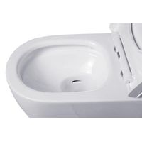 Унитаз подвесной с инсталляцией Roxen StounFix Dual Fresh 627320 6 в 1 (состоит из: 710200, Steel 420260G; 530155-01) — 15