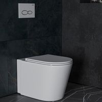 Приставной унитаз Roxen Antares Tornado 650185-01 — 4