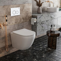 Инсталляция для унитаза Roxen StounFix Dual Fresh 805364 4 в 1 (состоит из: 710200, Santi 410260W) — 7