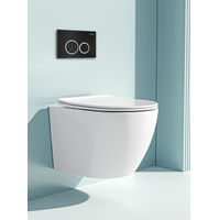 Инсталляция для унитаза Roxen StounFix Dual Fresh 811558 4 в 1 (состоит из: 710200, Santi 410260B) — 9