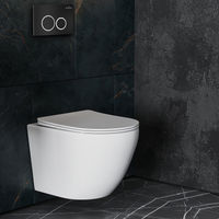 Инсталляция для унитаза Roxen StounFix Dual Fresh 811558 4 в 1 (состоит из: 710200, Santi 410260B) — 8