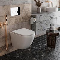 Инсталляция для унитаза Roxen StounFix Dual Fresh 812643 4 в 1 (состоит из: 710200, Santi 410260CH) — 7