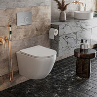 Инсталляция для унитаза Roxen StounFix Dual Fresh 821002 4 в 1 (состоит из: 710200, Santi 410260M) — 7