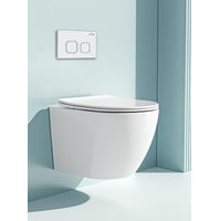 Инсталляция для унитаза Roxen StounFix Dual Fresh 826157 4 в 1 (состоит из: 710200, Santi 410280W) — 9