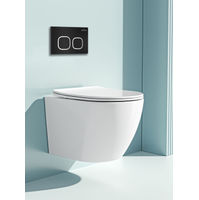 Инсталляция для унитаза Roxen StounFix Dual Fresh 828474 4 в 1 (состоит из: 710200, Santi 410280B) — 8
