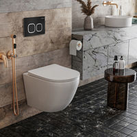 Инсталляция для унитаза Roxen StounFix Dual Fresh 828474 4 в 1 (состоит из: 710200, Santi 410280B) — 6