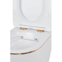 Унитаз подвесной с инсталляцией Roxen StounFix Dual Fresh 850609 6 в 1 (состоит из: 710200, Caspia 410280W; 530110-01G) — 13