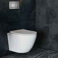 Инсталляция для унитаза Roxen StounFix Dual Fresh 859290 4 в 1 (состоит из: 710200, Steel 420280G) — 8