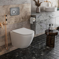 Инсталляция для унитаза Roxen StounFix Dual Fresh 868304 4 в 1 (состоит из: 710200, Steel 420260G) — 7