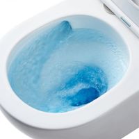 Унитаз подвесной с инсталляцией Roxen StounFix Dual Fresh 868415 6 в 1 (состоит из: 710200, Caspia 410280M, 530205-01-L) — 12