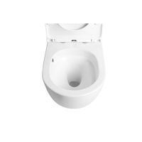 Унитаз подвесной с инсталляцией Roxen StounFix Dual Fresh 868417 6 в 1 (состоит из: 710200, Caspia 410280DG, 530205-01-L) — 11