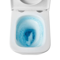 Унитаз подвесной с инсталляцией Roxen StounFix Dual Fresh 868599 6 в 1 (состоит из: 710200, Velar 420300GM, 530135-01X) — 12