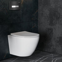 Инсталляция для унитаза Roxen StounFix Dual Fresh 873337 4 в 1 (состоит из: 710200, Glass 430280B) — 8