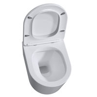 Унитаз подвесной с инсталляцией Roxen StounFix Dual Fresh 918025 6 в 1 (состоит из: инсталляции 710200, кнопки Santi 410280CH, 530120-01) — 10