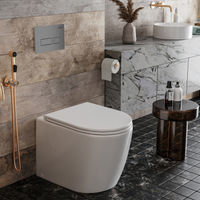 Инсталляция для унитаза Roxen Attach 927084 3 в 1 (состоит из: 710215, Caspia 410280M) — 5