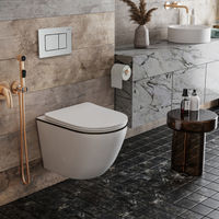 Унитаз подвесной с инсталляцией Roxen StounFix Dual Fresh 968427 6 в 1 (состоит из: 710200, Steel 420280S, 530110-01B) — 13