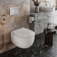 Унитаз подвесной с инсталляцией Roxen StounFix Dual Fresh 968442 6 в 1 (состоит из: 710200, Steel 420280S, 530170-01) — 9