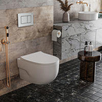 Унитаз подвесной с инсталляцией Roxen StounFix Dual Fresh 968445 6 в 1 (состоит из: 710200, Steel 420280S, 530155-01) — 16