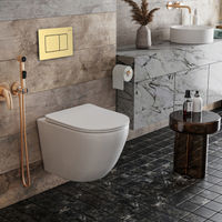Унитаз подвесной с инсталляцией Roxen StounFix Dual Fresh 968463 6 в 1 (состоит из: 710200, Steel 420280GB, Roxen Antares) — 11