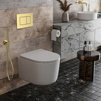 Унитаз подвесной с инсталляцией Roxen StounFix Dual Fresh 968480 6 в 1 (состоит из: 710200, Steel 420280GB, 530120-01) — 11